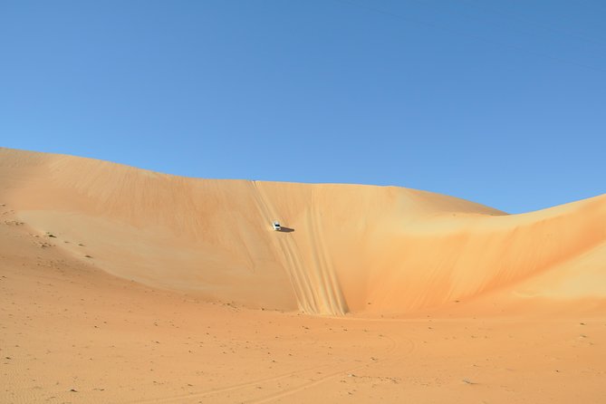 Liwa Full Day Desert Safari (exploring) - Is $225 a Fair Price?