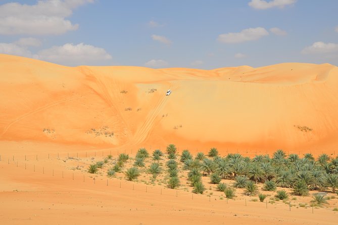 Liwa Full Day Desert Safari from Abu Dhabi - Why Liwa is different from a short Abu Dhabi safari