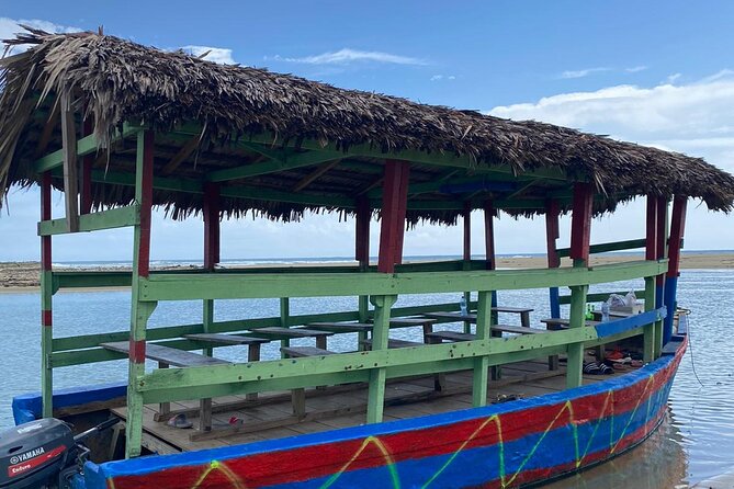 Local Excursion || Jungle Safari Excursion - Practical Details For A Smoother Day