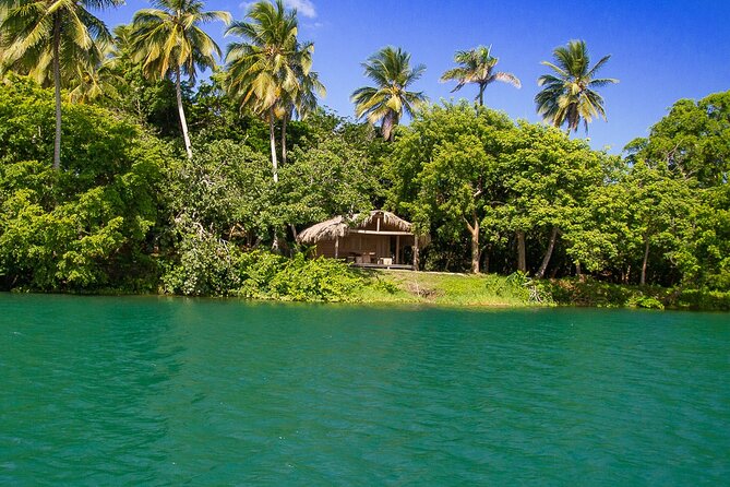 Local Excursion || Jungle Safari Excursion - The Rio Cano Ondo And Rio Yasika By Boat