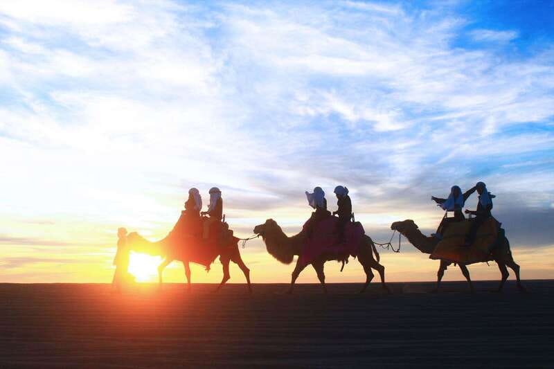 Los Cabos: Camel Ride Safari with Lunch and Tequila Tasting - From your hotel lobby to the Baja desert