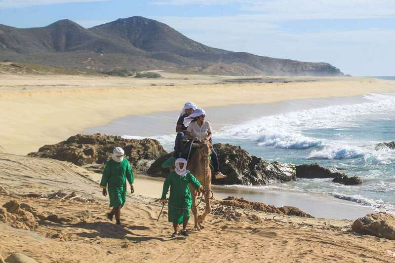 Los Cabos: Camel Ride Safari with Lunch and Tequila Tasting - Tequila tasting with a proper explanation