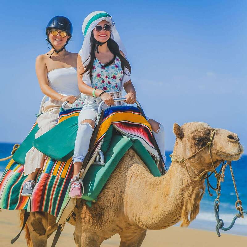 Los Cabos: Camel Ride Safari with Lunch and Tequila Tasting - Timing, pickup, and the best departure choice