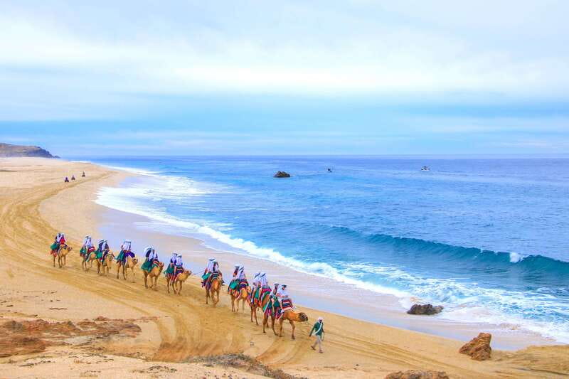 Los Cabos: Camel Ride Safari with Lunch and Tequila Tasting - Who will enjoy this Baja outing?