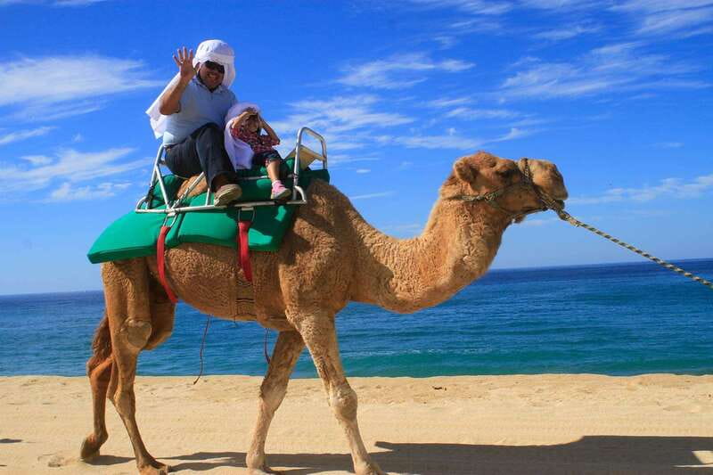 Los Cabos: Camel Ride Safari with Lunch and Tequila Tasting - Should you book the Los Cabos camel safari?