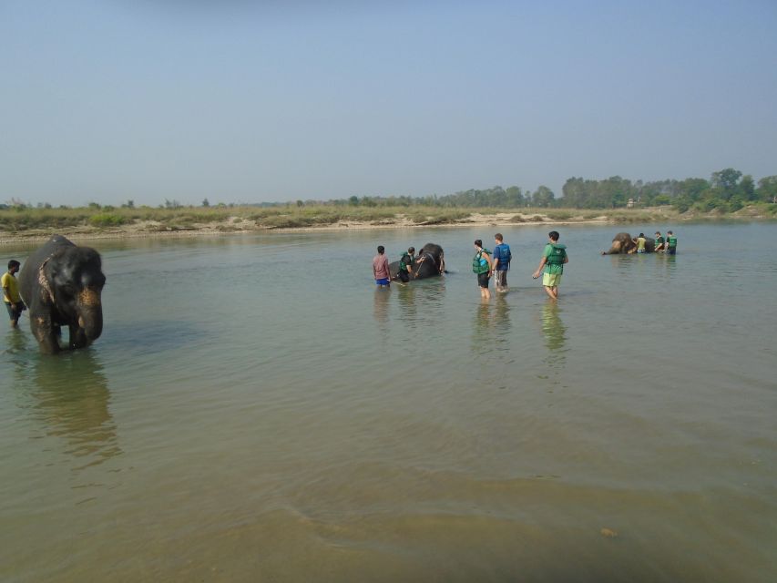 Luxury Chitwan Jungle Safari Package (2Nights/3Days) Resort - The resort stay and included meals