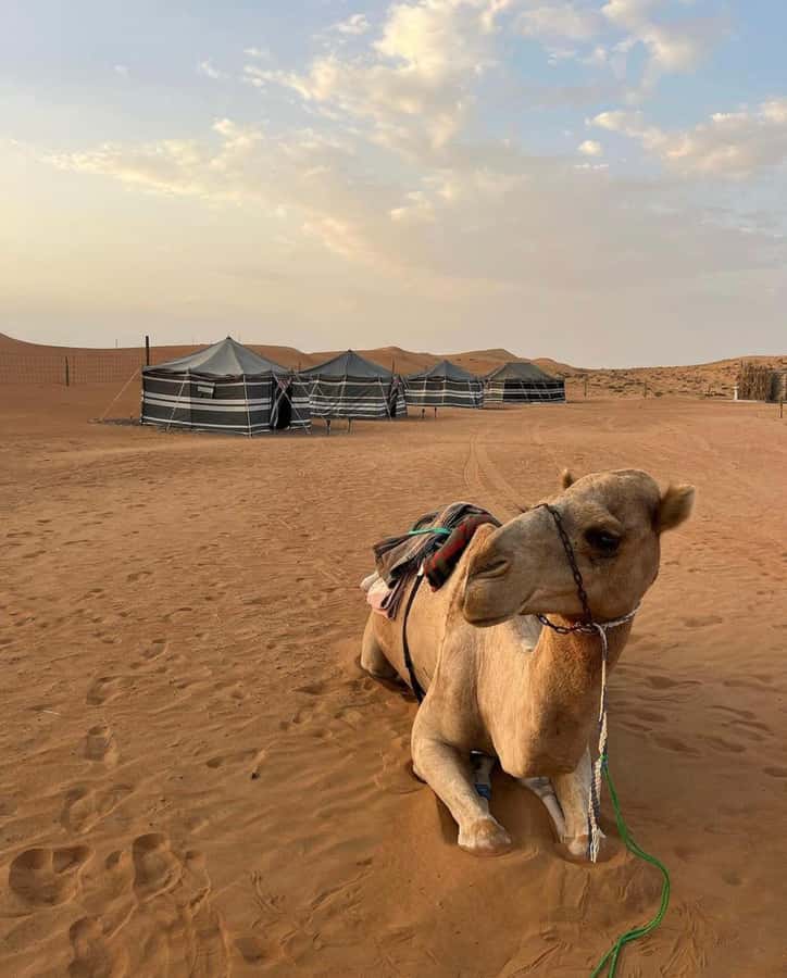 Luxury Overnight Desert Safari in Salalah - Entering the Empty Quarter by 4x4