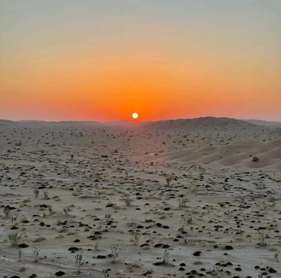 Luxury Overnight Desert Safari in Salalah - Sunset coffee, dates, and desert silence