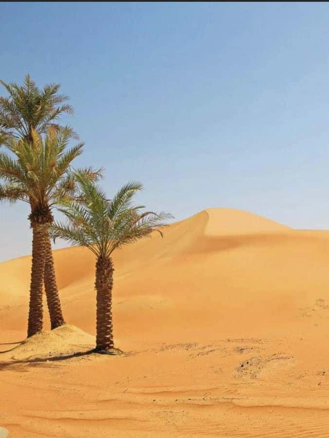 Luxury Overnight Desert Safari in Salalah - A traditional camp with a practical warning