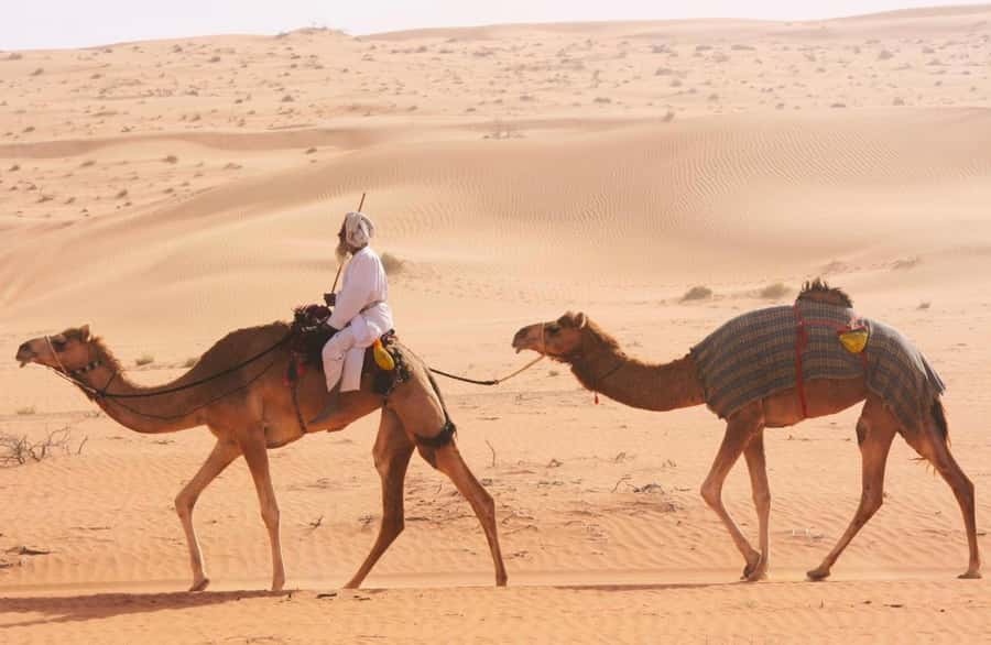Luxury Overnight Desert Safari in Salalah - Dinner, camel meat, and Bedouin-style evening time