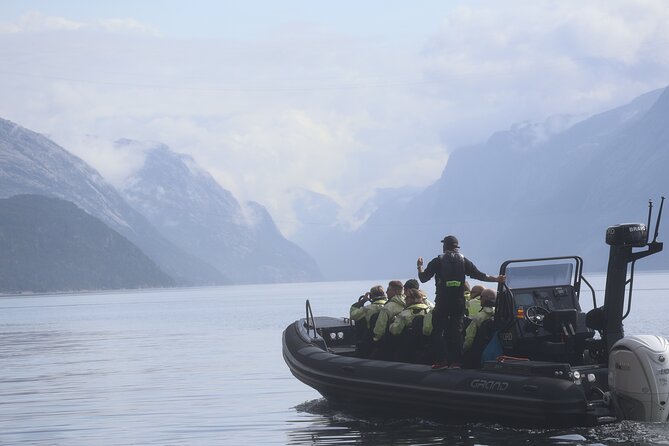 Lysefjord RIB Safari from Stavanger - Key points to know before you go