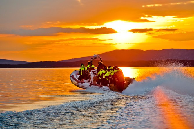 Lysefjord RIB Safari from Stavanger - Why the captain matters