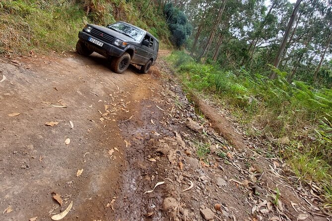 Madeira 4x4 Jeep Safari : Porto Moniz, Lava Pools & Fanal Forest - Paul da Serra changes the scale of the island