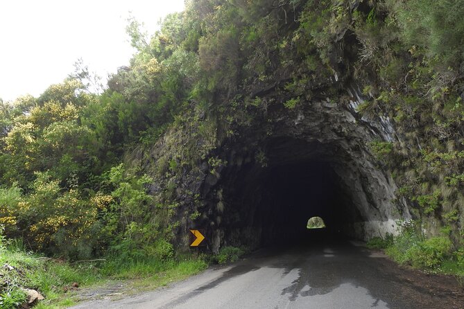 Madeira 4x4 Jeep Safari : Porto Moniz, Lava Pools & Fanal Forest - Porto Moniz is the day’s main pause