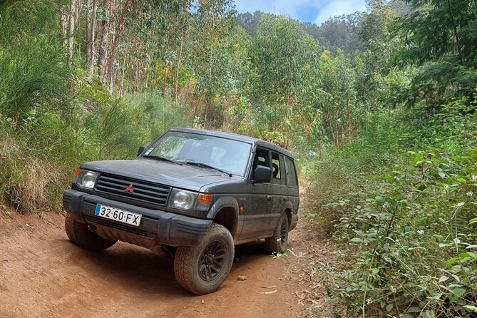 Madeira 4x4 Jeep Safari : Porto Moniz, Lava Pools & Fanal Forest - Cabo Girão adds Madeira’s big vertigo moment