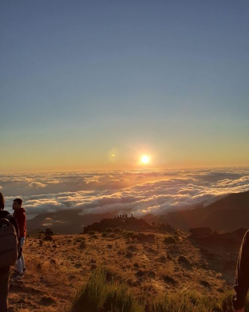 Madeira East Wonders 4X4 Tour Safari - Ribeiro Frio and the Laurissilva forest