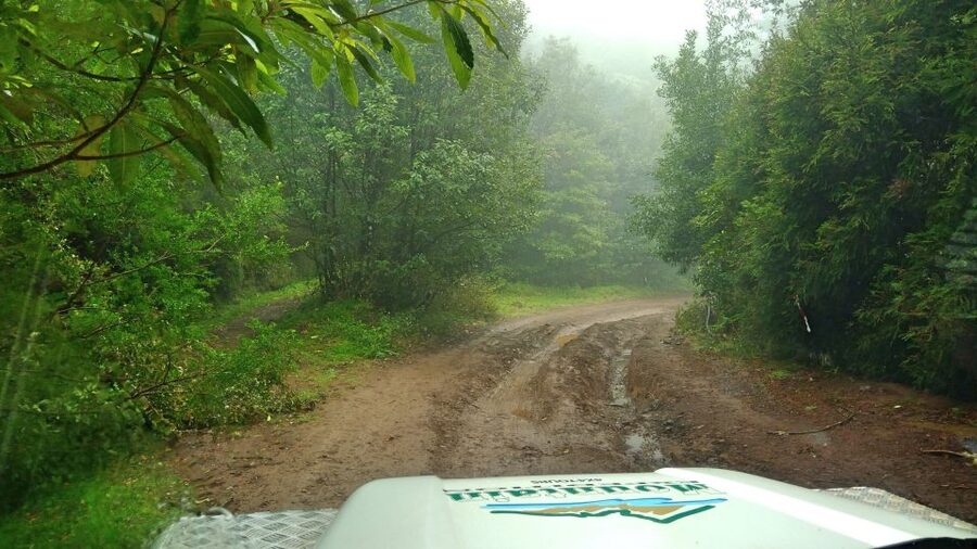 Madeira: Mini-Combo East Challenge: Jeep Safari + Levada - Taking the Jeep toward Morena