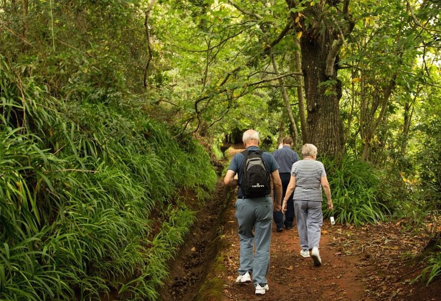 Madeira: Mini-Combo East Challenge: Jeep Safari + Levada - The 30-minute levada walk keeps things easy