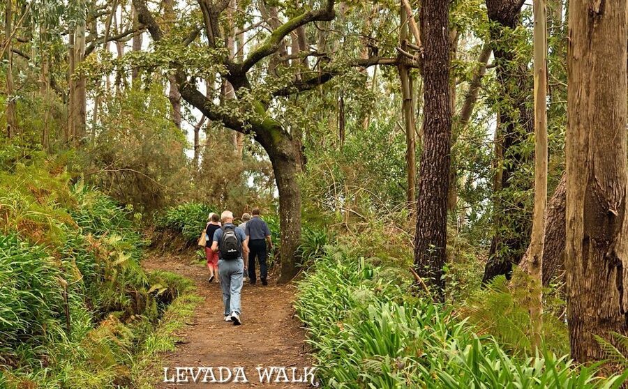 Madeira: Mini-Combo East Challenge: Jeep Safari + Levada - Practical advice for a smoother morning or afternoon