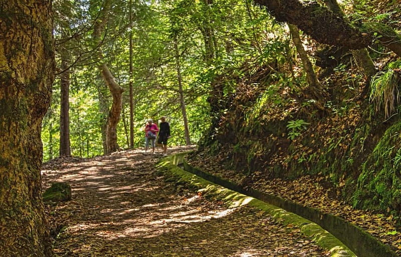 Madeira: Santana Jeep Safari and Referta Levada Walk - Faial: a brief stop with a rural feel