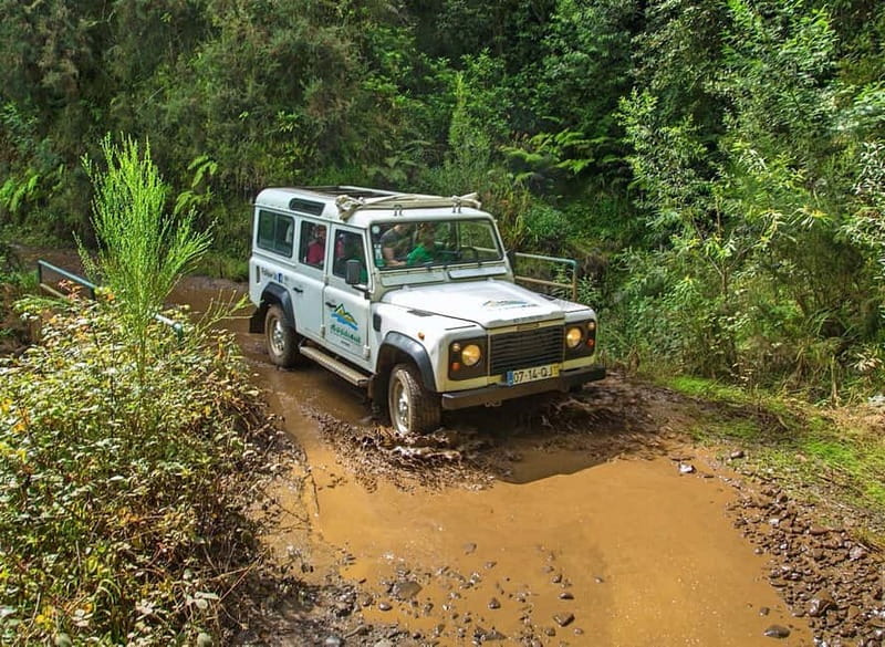 Madeira: Santana Jeep Safari and Referta Levada Walk - The Referta levada walk and Madeira’s working countryside