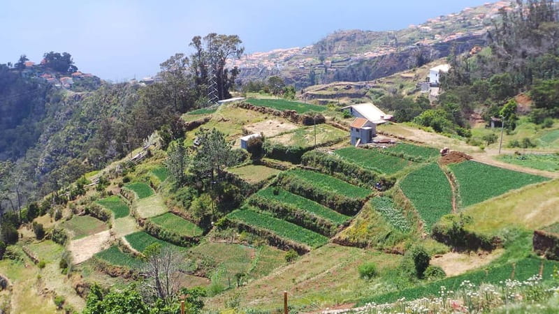 Madeira: Santana Jeep Safari and Referta Levada Walk - Porto da Cruz and the smell of sugar cane rum