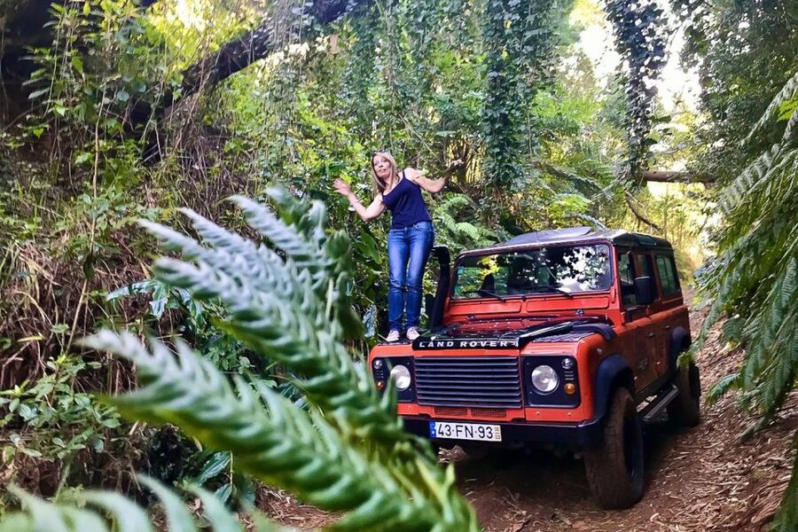 Madeira: West Side Jeep Tour with Natural Pools - Paul da Serra and Fanal change the mood