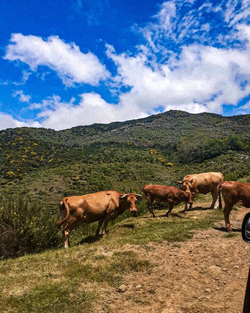 Madeira Wild West 4X4 Tour Safari - Porto Moniz gives you the best break in the schedule