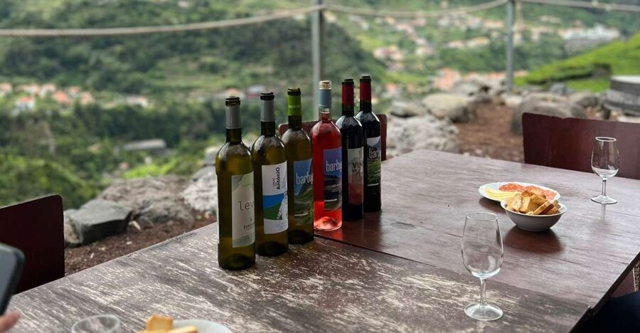 Madeira: Wine Tasting Guided Tour, Jeep Safari, & Viewpoints - The rough tracks above São Vicente