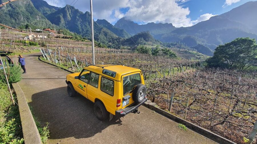 Madeira: Wine Tasting Guided Tour, Jeep Safari, & Viewpoints - Is $94 a fair price for four hours?