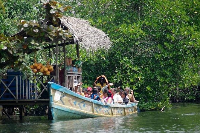 Madu River Boat Safari Balapitiya - Why the River Madu makes a good half-day outing