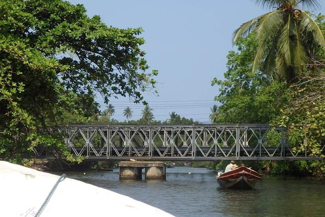 Madu River Boat Safari Balapitiya - The fish foot massage pond