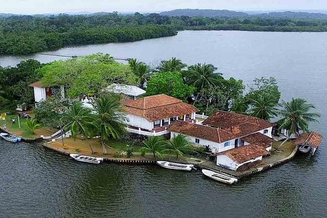Madu River Boat Safari Balapitiya - What $29 really buys you
