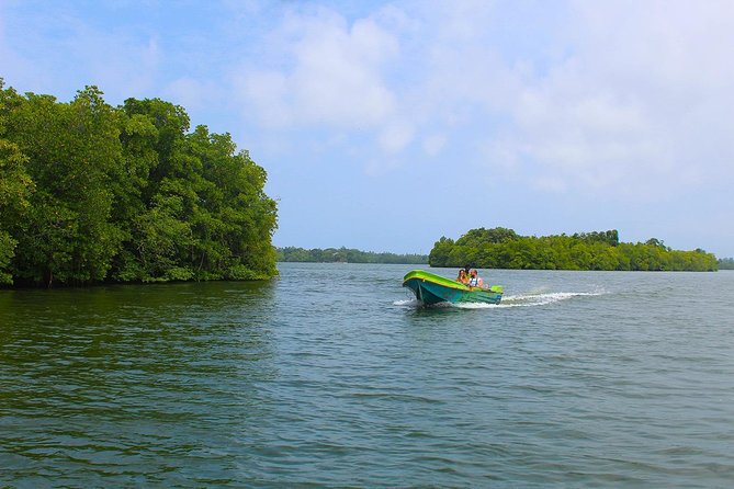 Madu River Boat Safari Balapitiya - Timing, weather, and comfort