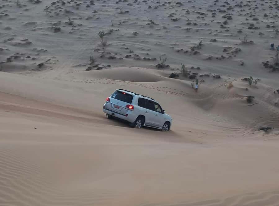 Magical Desert Safari By Land Cruise in Empty Quarter - Key points at a glance