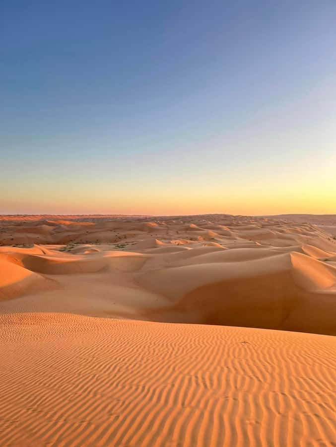 Magical Desert Safari By Land Cruise in Empty Quarter - Frankincense and the natural park