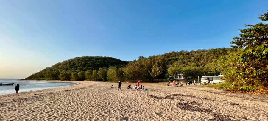 Magnetic Island: West Point Sunset Safari Bus Tour - Bolger Bay Conservation Park and the wildlife search