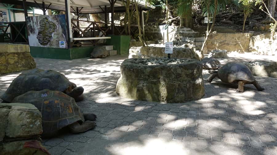 Mahe: St.Anne Marine National Park Reef Safari with Lunch - Key points to know before booking