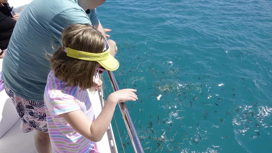 Mahe: St.Anne Marine National Park Reef Safari with Lunch - What the day is really like from Mahé