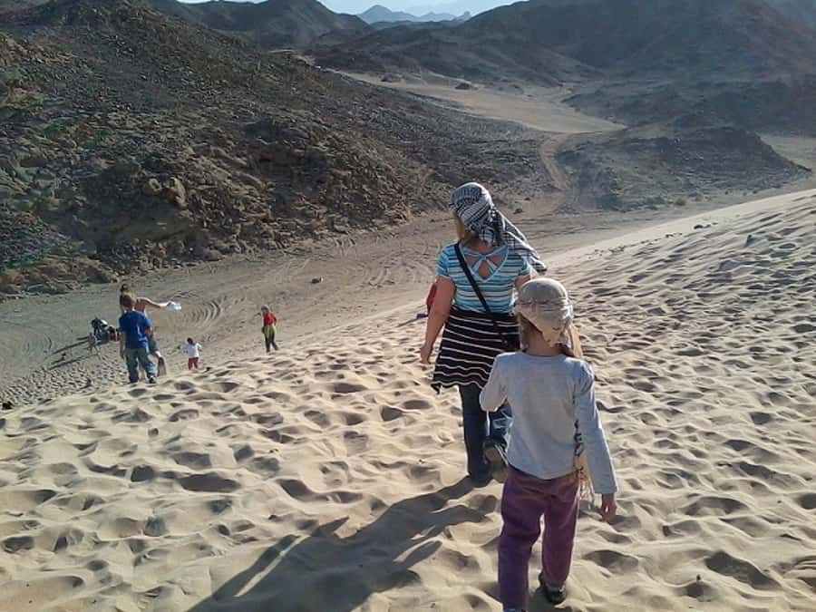 Makadi Bay: Jeep Safari Adventure with Bedouin guide - Who will enjoy this safari most
