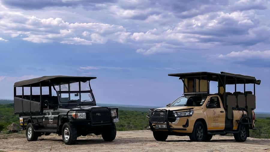 Malelane & Komatipoort: Kruger National Park Half-Day Safari - The pre-dawn pickup from Malelane or Komatipoort