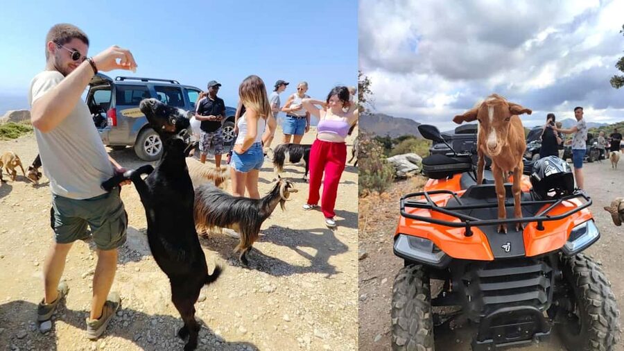 Malia: Off-Road Quad Safari Tour with Lunch and Transfers - From Malia to the olive groves