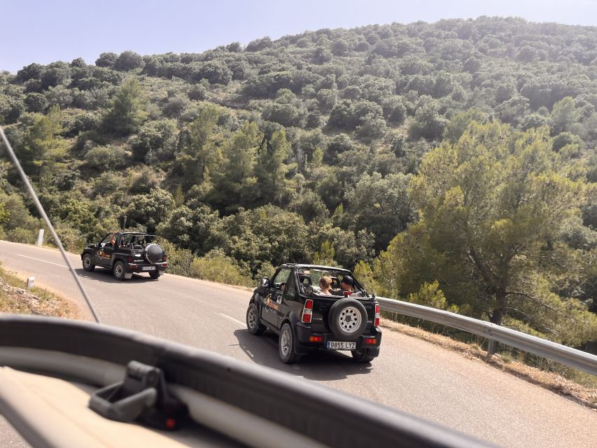 Mallorca: Self Drive 4x4 Jeepsafari Tour - Swimming in clear blue water