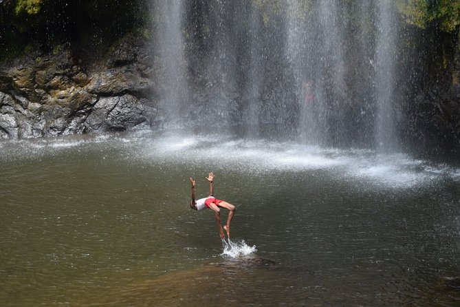 Marangu waterfall & Coffee making Cultural Tour | BURIGI CHATO SAFARIS CO LTD - Timing, transport, and what to pack