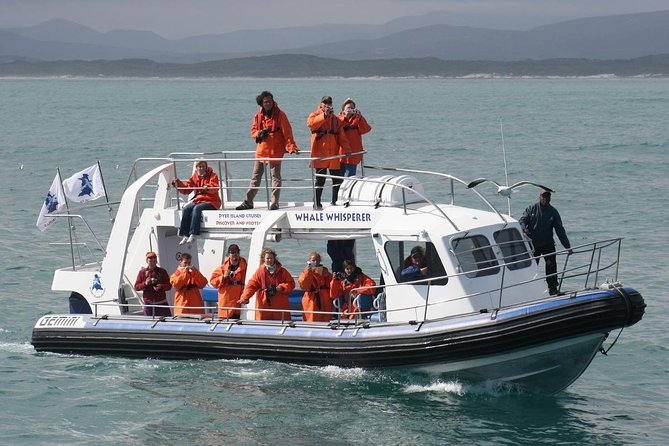 Marine Big 5 Safari full day trip from Cape Town - Searching for seals around Geyser Rock