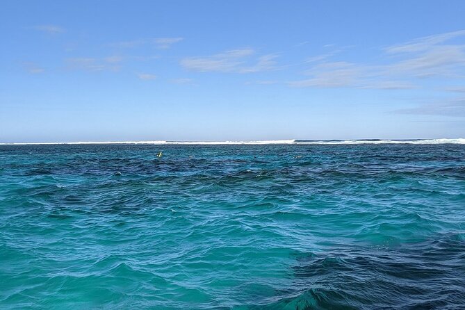 Marine Eco Safari - Swim with Manta Rays - The afternoon snorkel keeps the trip worthwhile