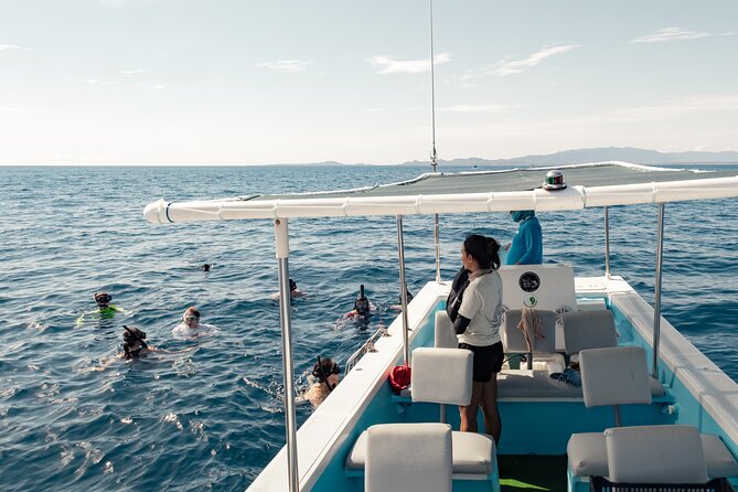 Marine Safari in La Ventana - Searching La Ventana Bay for free-ranging animals