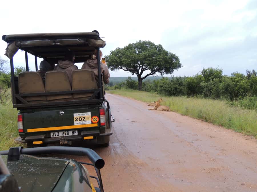 Marloth Park: Kruger National Park Safari Game Drives - What the guides add to the experience