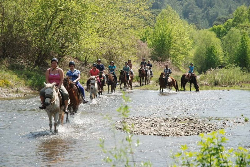 Marmaris: Horse Riding & Safari with Hotel Transfer - Key points before you book