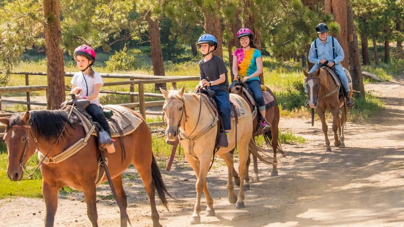 Marmaris: Horse Riding & Safari with Hotel Transfer - From Marmaris hotels to the ranch